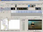 Sony Vegas Pro 9.0c (Build 896)